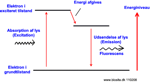 Et molekyles optagelse og afgivelse af energi form af lys