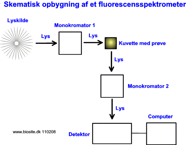 Opbygningen af et fluorescensspektrometer