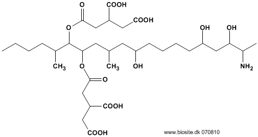 Strukturen af fumonisin B1