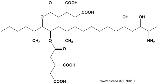 Strukturen af fumonisin B2