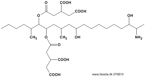 Strukturen af fumonisin B3