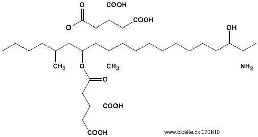Strukturen af fumonisin B4