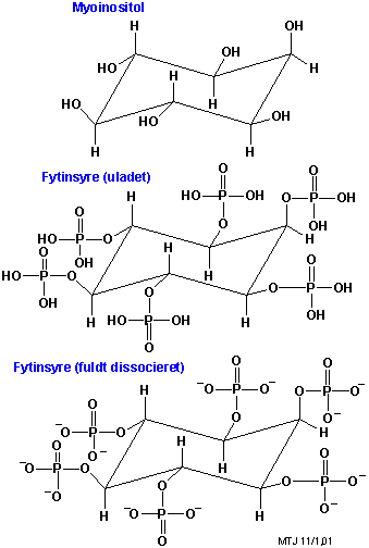 Strukturerne af myoinositol og phytin (fytinsyre)