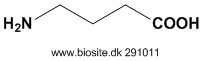 Strukturen af GABA