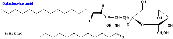 Strukturen af galactosylceramid