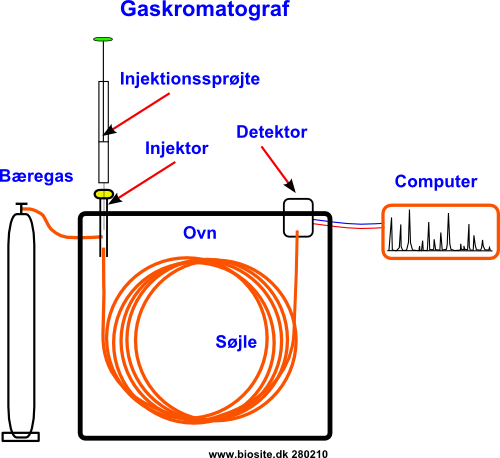 Gaskromatografens opbygning