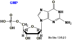 Strukturen af guanosin 5'-monophosphat
