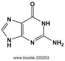 Strukturen af guanin