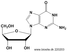 Strukturen af guanosin