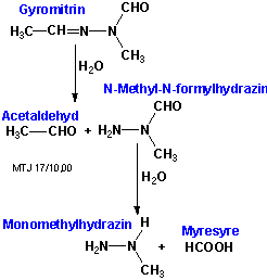 Nedbrydningen ag gyromitrin til hydraziner