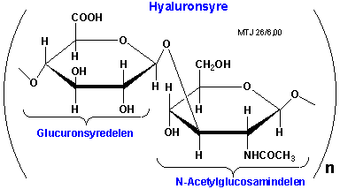 Struktur-udsnit af hyaluronsyre