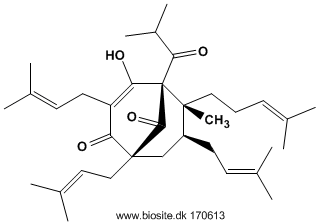 Strukturen af hyperforin