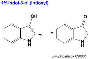 Strukturen af indol-3-ol (indoxyl)
