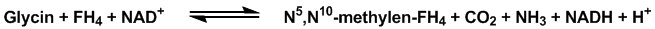 Glycinsyntetase reaktionen