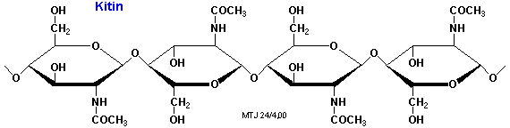 Struktur-udsnit af et kitinmolekyle