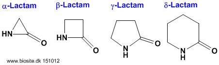 Lactamer med forskellig ringstørrelse