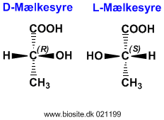 Strukturene af L- og D-m�lkesyre