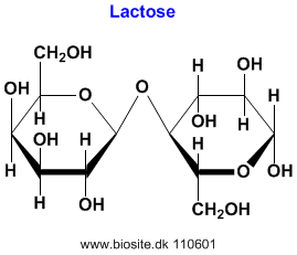 Strukuren af lactose