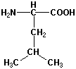 Strukturen af aminosyren leucin