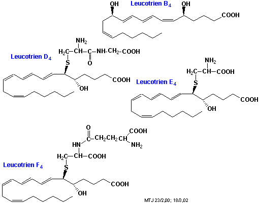 Den kemiske struktur af forskellige leucotriener