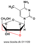 Strukturen af LNA 5-methylcytidin