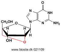 Strukturen af LNA-guanosin