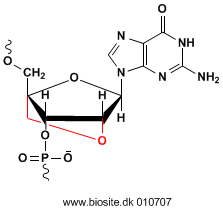 Strukturen af en LNA-modificeret guanin nukleinsyreenhed
