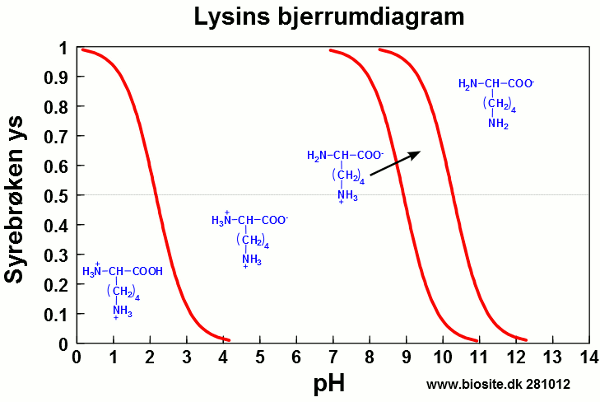 Lysins bjerrumdiagram