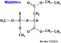 Strukturen af malathion