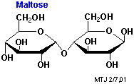 Strukturen af maltose
