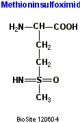Strukturen af aminosyren methioninsulfoximid