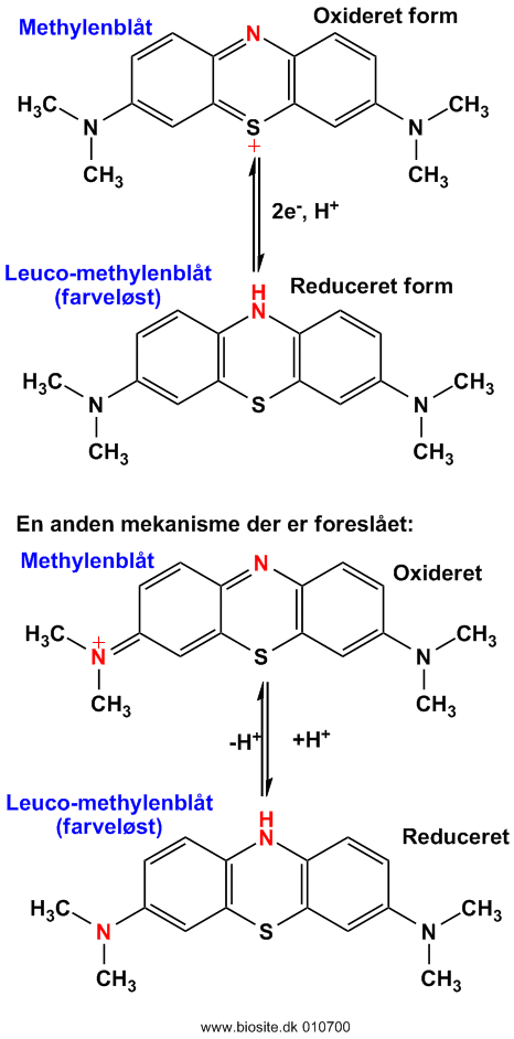 Strukturen af methylenbl�t