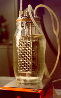 Fermentor med muslinger i trdkurv