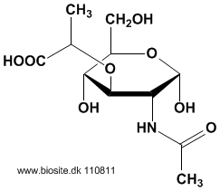 Strukturen af N-acetylmuraminsyre