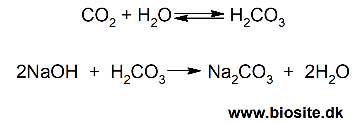 Natriumhydroxid reagerer med vand og carbondioxiden i luft og danner natriumcarbonat