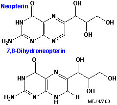 Strukturerne af neopterin og 7,8-dihydroneopterin