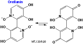 Strukturen af orellanin