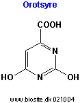 Strukturen af orotsyre