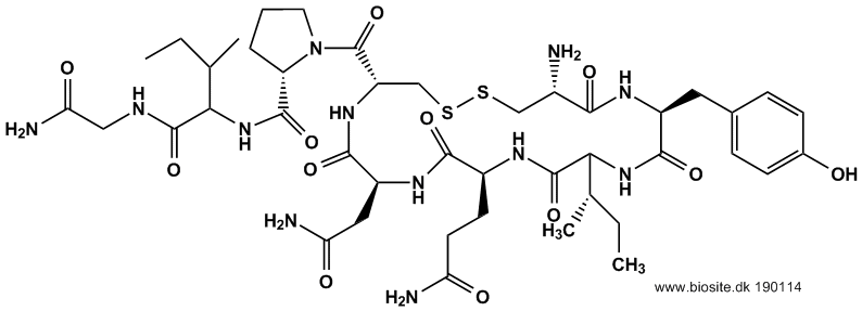 Strukturen af oxytocin