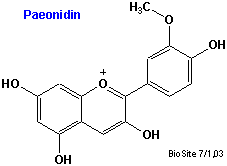 Strukturen af paeonidin