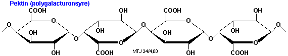 Et udsnit af et pektin-molekyle