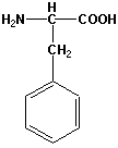Strukturen af aminosyren phenylalanin