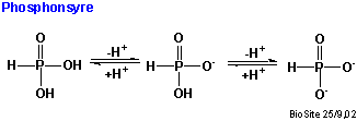 Den kemiske struktur af phosphonsyre