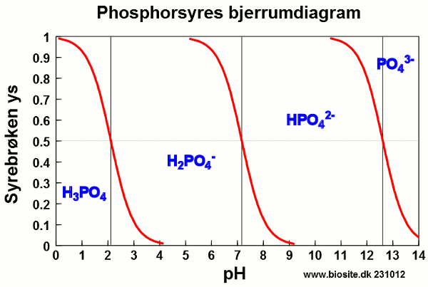 Phosphorsyres bjerrumdiagram