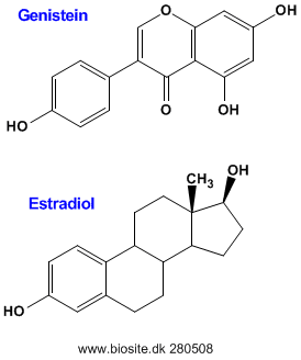 Phytoestrogenerne genistein og �stradiol