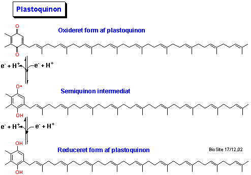Strukturen af plastoquinon