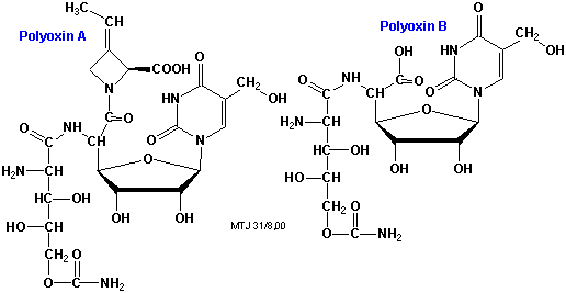 Strukturerne af polyoxin A og polyoxin B