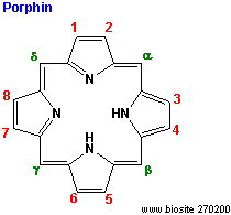 Strukturen af porphin