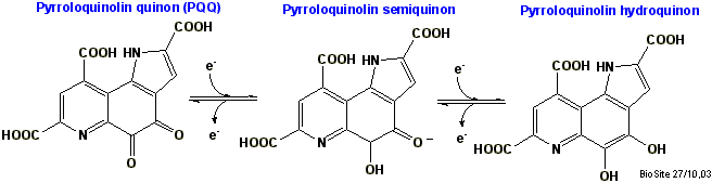Strukturen af pyrroloquinolin quinon
