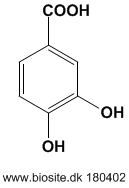 Strukturen af protocatechusyre
